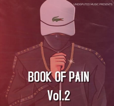 Loops 4 Producers Book Of Pain Vol.2 WAV